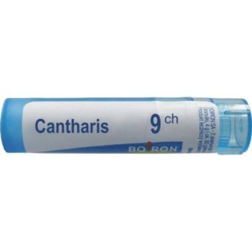 Boiron Cantharis,  9 CH, gran., 4 g,(MZ19302)